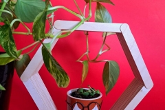 427782156_719857823630277_8078279127007994286_n