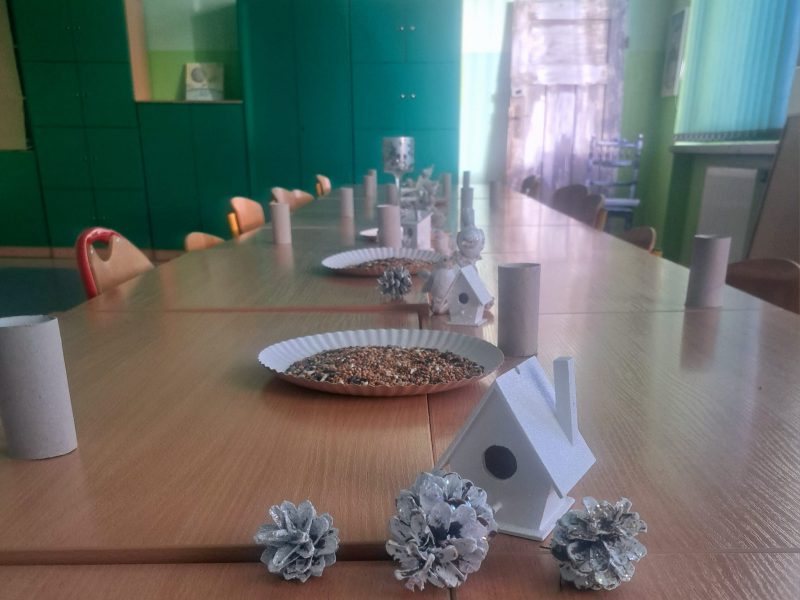 Dokarmianie ptaków zimą